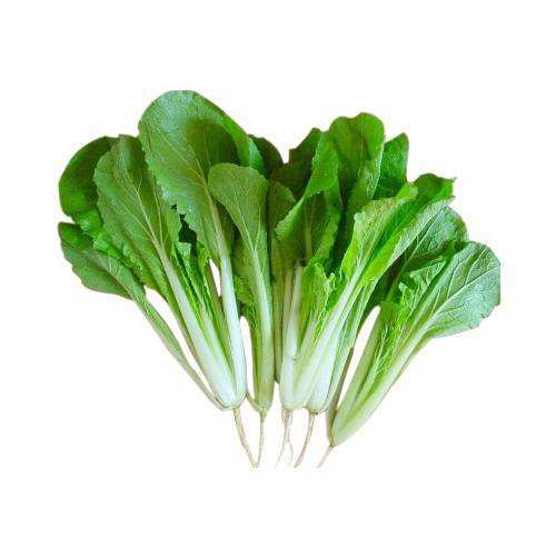 山西白（斤） 检测合格，无公害 商品图0