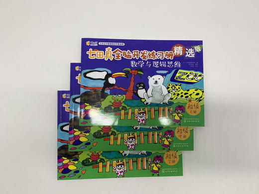 七田真全脑开发练习册：专注力与记忆力+数学与逻辑思维：初级（套装6册） 商品图3