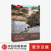 美丽的地球大迁徙 地球上最伟大的生命旅程 本霍尔著 动物迁徙 美丽的地球系列 中信出版社图书 正版 商品缩略图0
