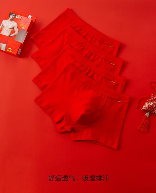 （一盒两条）男士大红安可拉红鸿运本命年莫代尔弹力棉长绒棉平角内裤7340/3633/890/5583/4551 商品图10