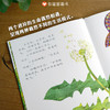 信谊世界精选图画书：小羊和蝴蝶  精装 商品缩略图1