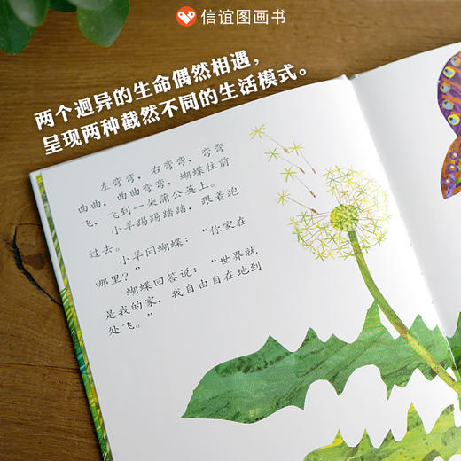 信谊世界精选图画书：小羊和蝴蝶  精装 商品图1