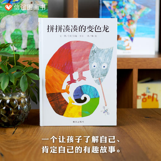 信谊世界精选图画书：拼拼凑凑的变色龙  精装 商品图0