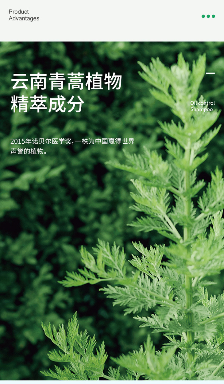 征服青蒿止痒防干枯洗发水400700ml洗发水从头顺到尾茶树油滋润秀发不