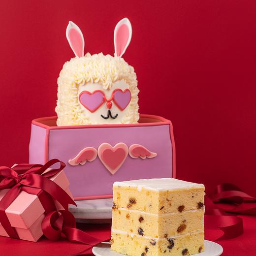 （提前2天预定）朋克羊驼仔 | 昂司 商品图1