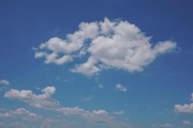 还真能跑测试勿动