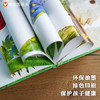 信谊世界精选图画书：小羊和蝴蝶  精装 商品缩略图3