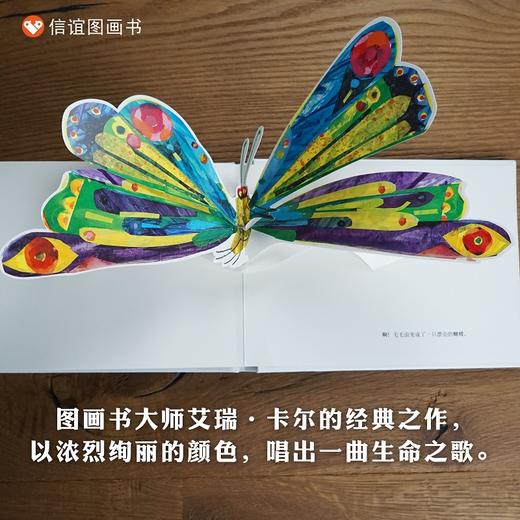 信谊世界精选图画书系列:好饿的毛毛虫立体洞洞书50周年纪念版 商品图2