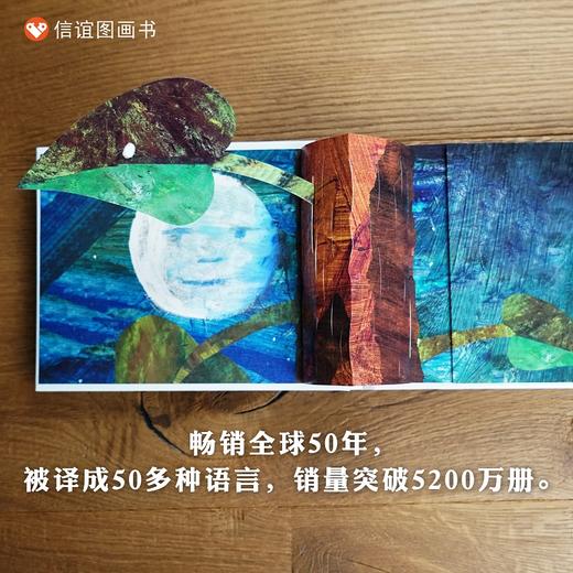 信谊世界精选图画书系列:好饿的毛毛虫立体洞洞书50周年纪念版 商品图3