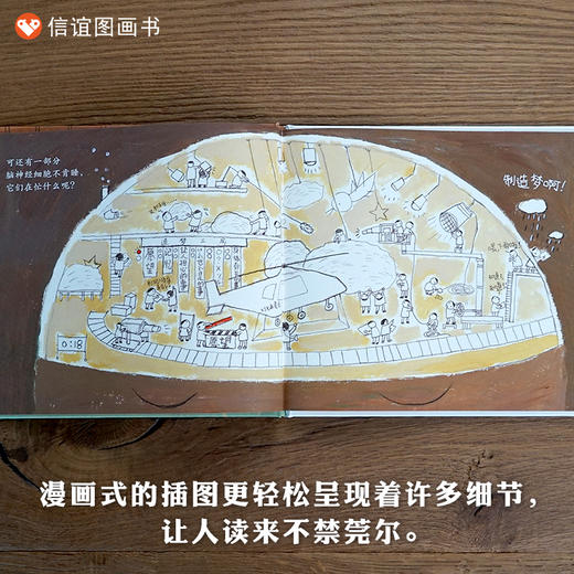 信谊原创图画书系列：生活微百科.做梦 商品图2