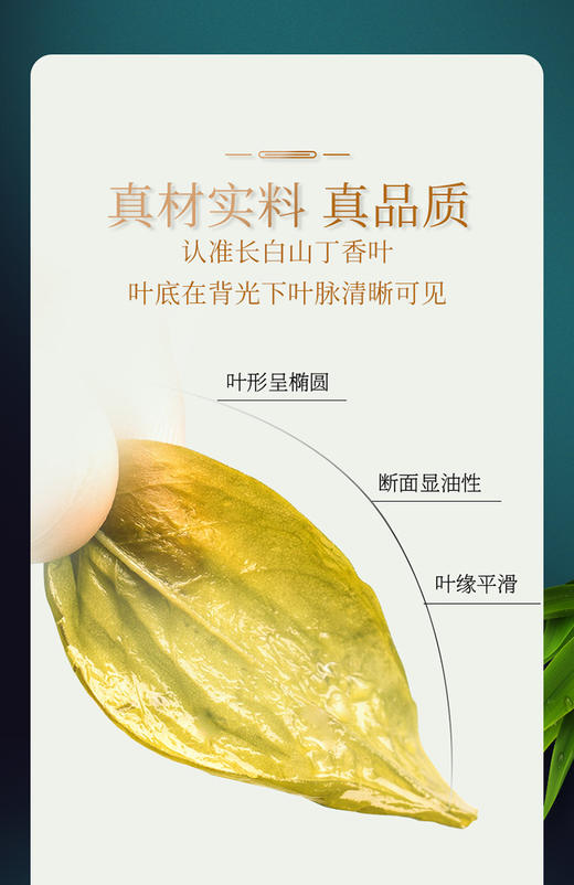 青源堂丁香茶丁香叶50g/罐JPY带授权招加盟代理 商品图6