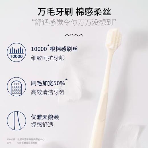 【肖战同款】 舒客高密卓效净白牙刷1支装（颜色随机发） 牙龈敏感适用  万毛牙刷万根毛10000根细致软毛 --赠品颜色/口味随机 商品图1