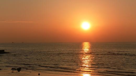 失业日记（二十二）深圳湾日出 商品图0