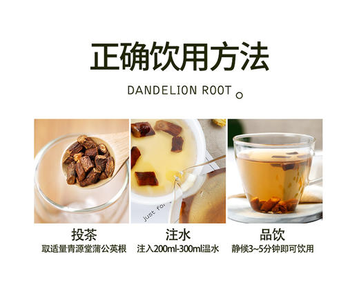 青源堂蒲公英根茶200g/罐JPY带授权招加盟代理 商品图12