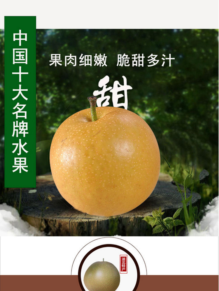 百里洲砂梨湖北枝江黄花梨新鲜梨子当季现摘黄沙梨黄冠梨亚布力当季