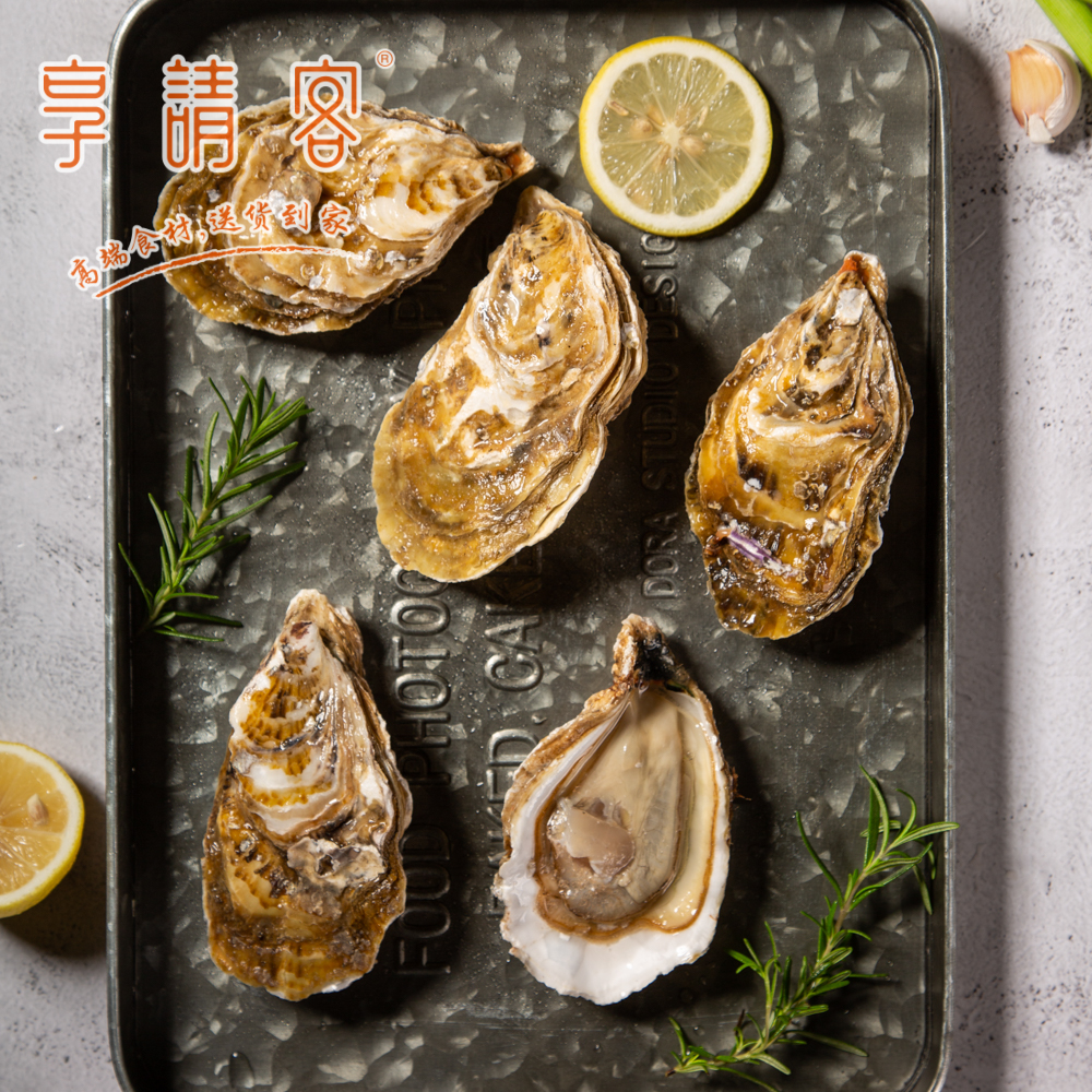 法国皇家御用生蚝