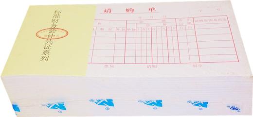 主力48开凭证单175*95mm25页/本20本/包 商品图13