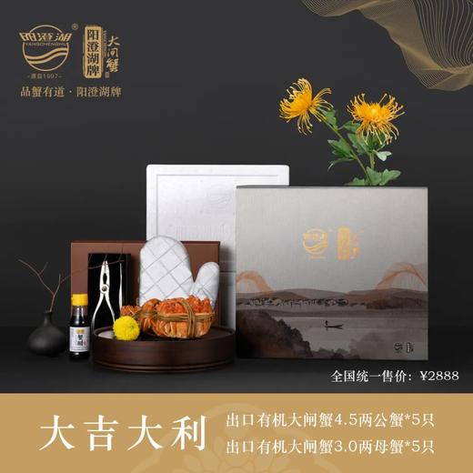 【阳澄湖牌大闸蟹·礼券】阳澄湖1号有机大闸蟹系列 《大吉大利》出口品质 商品图0