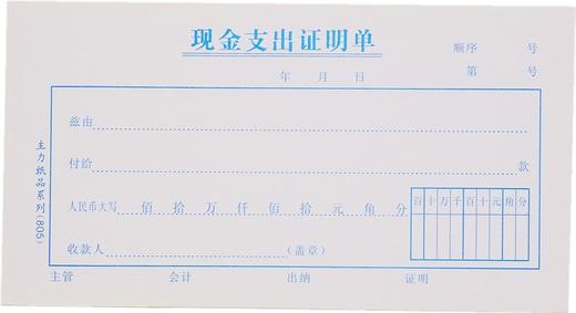 主力48开凭证单175*95mm25页/本20本/包 商品图4