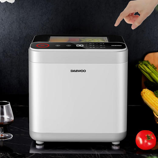 韩国大宇洗菜机家用全自动果蔬消毒清洗机食材净化机13l大容量