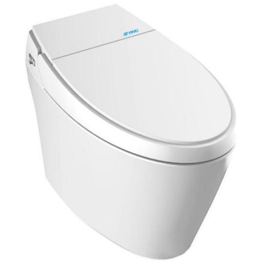 鹰卫浴-bs68b/d智能坐便器