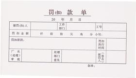 主力48开凭证单175*95mm25页/本20本/包