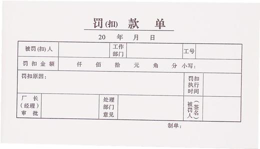主力48开凭证单175*95mm25页/本20本/包 商品图0