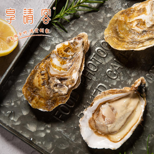 法国皇家御用生蚝 商品图2