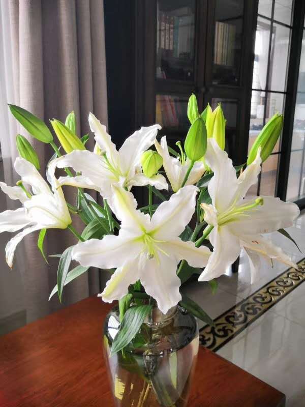 读本鲜花西伯利亚ab级2头百合45元