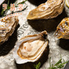 法国皇家御用生蚝 商品缩略图1
