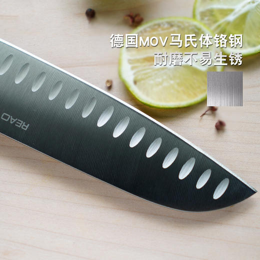REAO锐欧德国工艺 钼钒钢菜刀砍刀水果刀料理刀 单件分类 商品图6