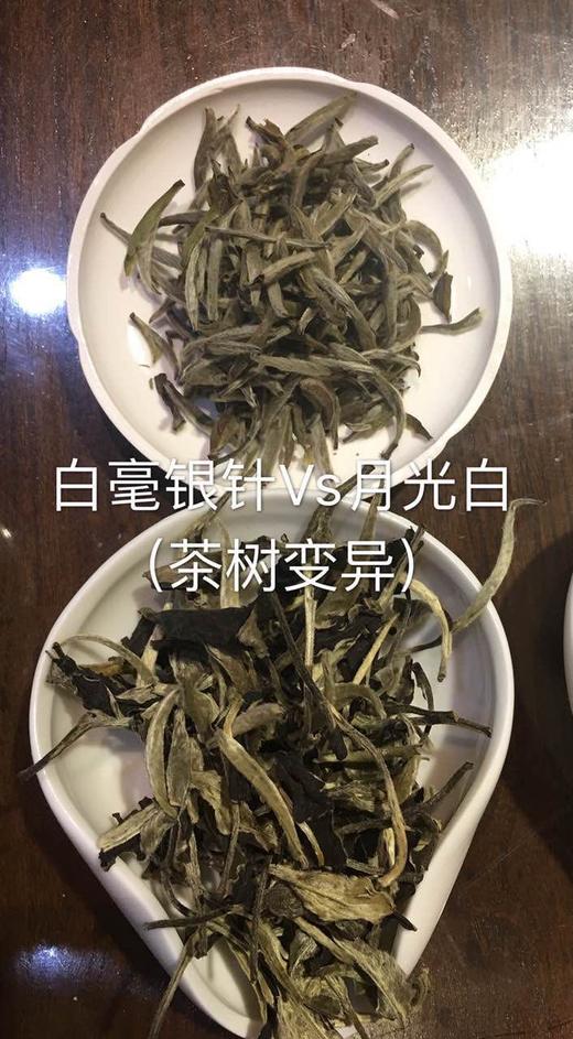 【上海】茶中珍品，白茶品鉴与冲泡分享会 商品图2