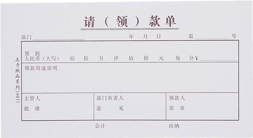 主力48开凭证单175*95mm25页/本20本/包 商品图2
