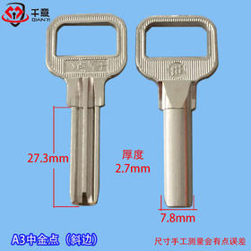 A3中金点（斜边）