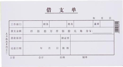 主力48开凭证单175*95mm25页/本20本/包 商品图7