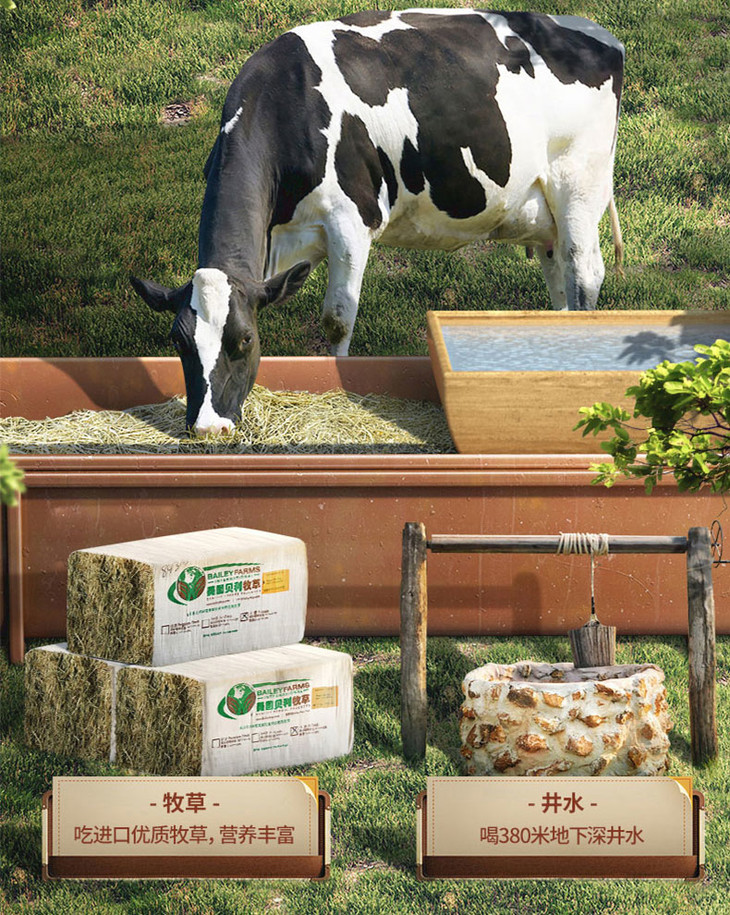 认养一头牛 纯牛奶 酸奶