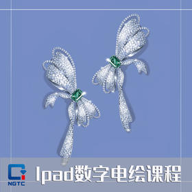 【诸暨】iPad珠宝绘图（8天线下）