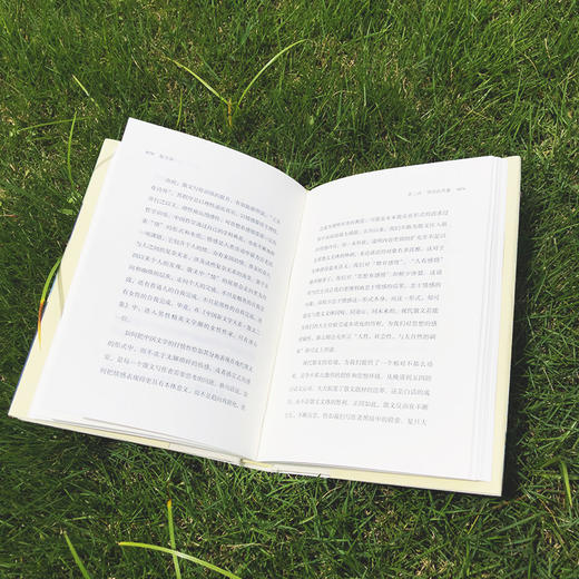 散文课 谜文库 张怡微著 复旦大学创意写作MFA专业散文课 现代散文写作 商品图4