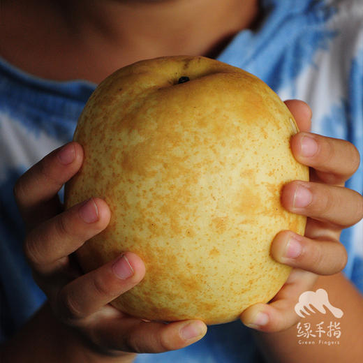 有机水晶梨 | 合作生产 *Organic crystal pear | Partner Production 商品图3