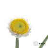 配花 | 银包菊 商品缩略图1
