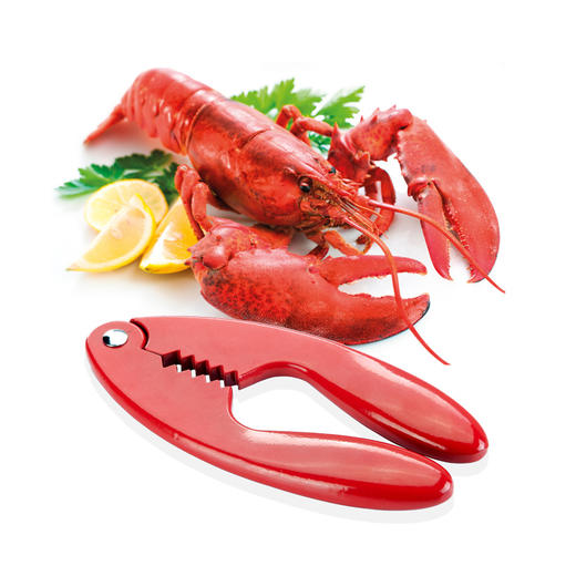 捷克进口/tescoma SEAFOOD系列多用途龙虾钳 大闸蟹螃蟹钳子 吃小龙虾工具 碎壳钳【不支持补差，非质量问题不退不换】S 商品图0