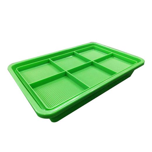 全食物日记 芽苗种植箱育苗盒芽菜盘食品级材料水培芽菜 100g*3 商品图3