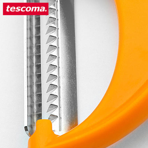 捷克进口tescoma 不锈钢蔬菜擦丝器便携刨丝器 商品图2