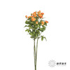 多头玫瑰 | 橙色芭比 商品缩略图3