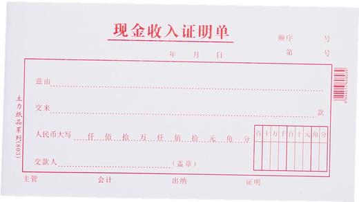 主力48开凭证单175*95mm25页/本20本/包 商品图12