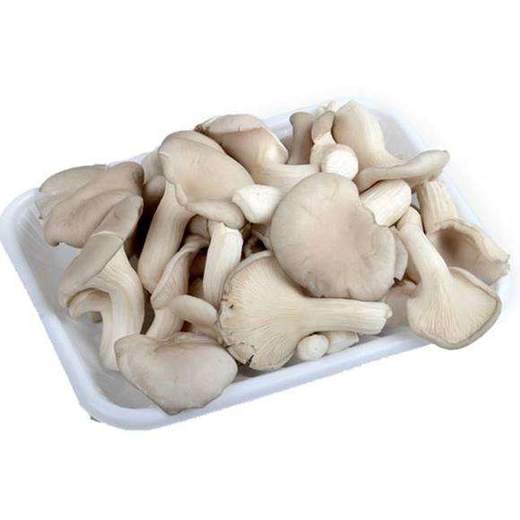 秀珍菇姬菇43元250g