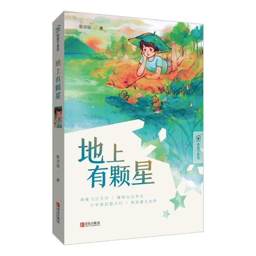 地上有颗星 商品图0