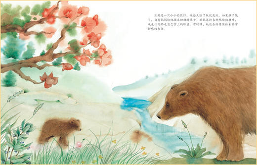 暖暖心绘本·珍藏礼品装（全30册)赠防疫绘本 商品图7