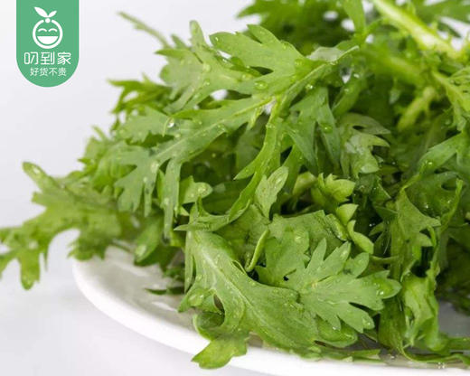 【叼鲜蔬】昆明新鲜小叶茼蒿/1份（约300g） 商品图5