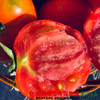 【全国包邮】宁夏银川戈壁滩的露天西红柿（12枚） 5斤±2两/箱  （72小时之内发货） 商品缩略图0